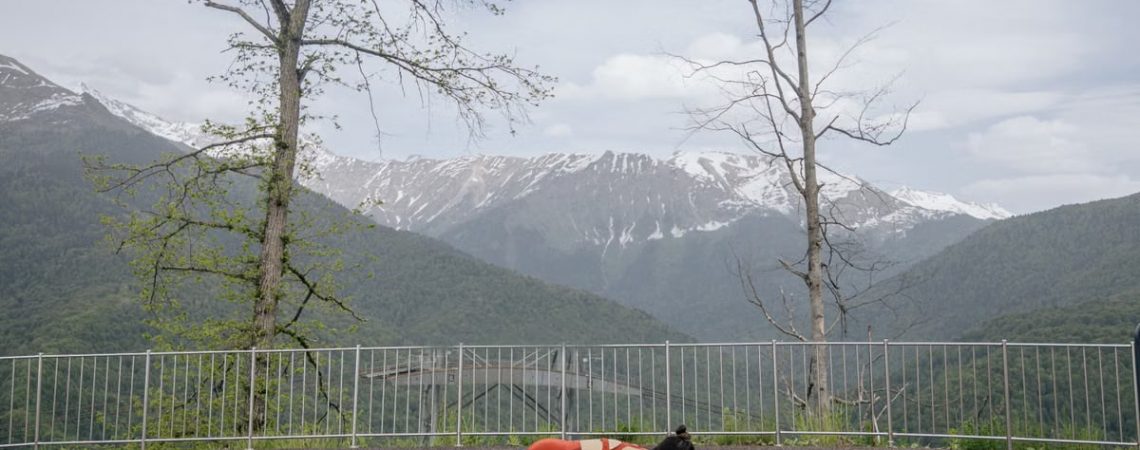 A woman doing a plank exercise on a mat outdoors with a scenic mountain view in the background.